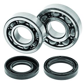 QuadBoss QuadBoss 88-06 Yamaha YFS200 Blaster Crankshaft Bearing & Seal Kit - 413259