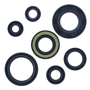 QuadBoss QuadBoss 88-06 Yamaha YFS200 Blaster Oil Seal Set - 564107