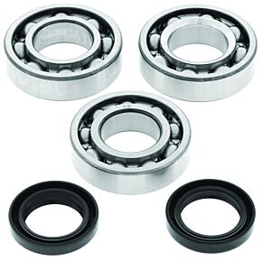 QuadBoss QuadBoss 94-95 Polaris 300 2x4/4x4 Crankshaft Bearing & Seal Kit - 414074
