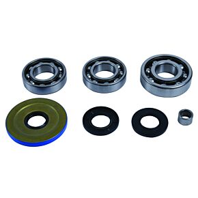 QuadBoss QuadBoss Diff Bearing Kit - 412797