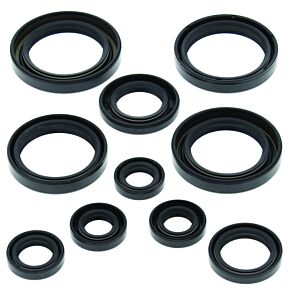 QuadBoss QuadBoss Oil Seal Set - 564139