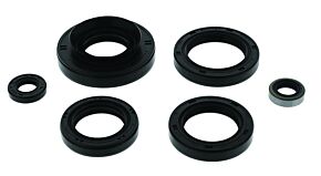 QuadBoss QuadBoss Oil Seal Set - 564199