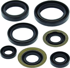 QuadBoss QuadBoss Oil Seal Set - 564397