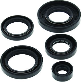 QuadBoss QuadBoss Oil Seal Set - 564593