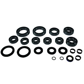 QuadBoss QuadBoss Transaxle Bearing Kit - 401295