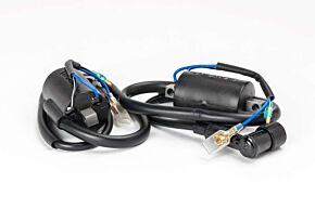 Ricks Motorsport Electrics Ricks Motorsport Electrics Ricks Motorsport New Honda Ignition Coil - 23-103