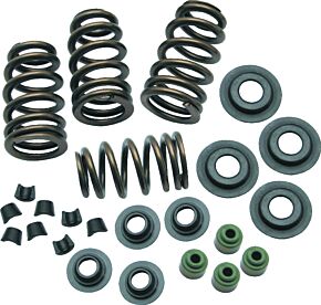 S&S Cycle S&S Cycle 04-19 XL Valve Spring Kit - .650in - 106-5909