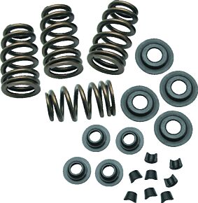 S&S Cycle S&S Cycle 84-04 BT/86-03 Sportster Models .650in Lift Sidewinder Valve Spring Kit - 900-0050