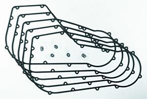 TwinPower TwinPower TWP Primary Gasket Kits - 043252