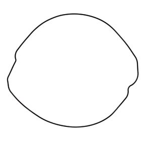 Vertex Pistons Vertex Pistons 02-07 CR 250 R Gasket - 817702