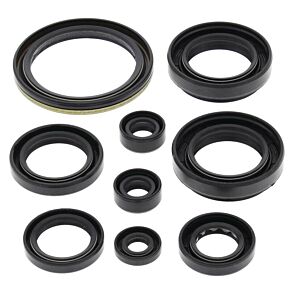 Vertex Pistons Vertex Pistons Vertex Gaskets 00-02 Arctic Cat 500 4x4 w/AT Oil Seal Kit - 822259