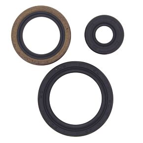 Vertex Pistons Vertex Pistons Vertex Gaskets 00-02 Polaris Magnum 325 2x4 Oil Seal Kit - 822143