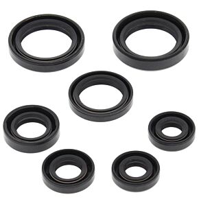 Vertex Pistons Vertex Pistons Vertex Gaskets 00-06 Honda TRX350FE Oil Seal Kit - 822236