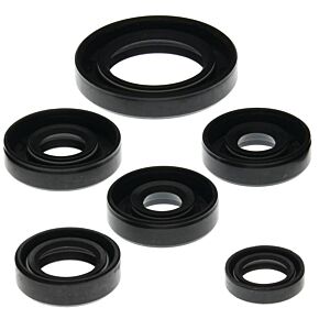 Vertex Pistons Vertex Pistons Vertex Gaskets 00-07 Can-Am DS650 Oil Seal Kit - 822203
