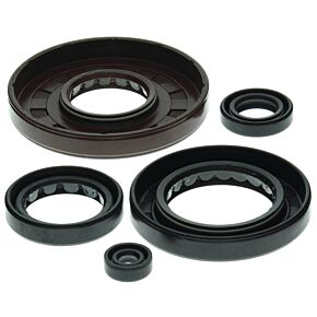 Vertex Pistons Vertex Pistons Vertex Gaskets 01-14 Honda TRX500FA Oil Seal Kit - 822210