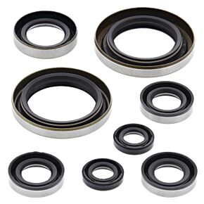Vertex Pistons Vertex Pistons Vertex Gaskets 02-05 KTM EXC-G 250 Racing Oil Seal Kit - 822274