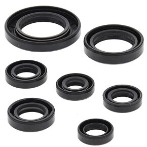 Vertex Pistons Vertex Pistons Vertex Gaskets 02-14 Honda TRX250TE Recon Oil Seal Kit - 822311