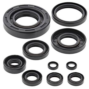 Vertex Pistons Vertex Pistons Vertex Gaskets 02-23 Yamaha YZ250 Oil Seal Kit - 822304