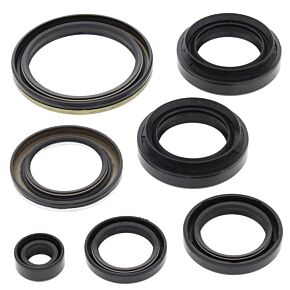 Vertex Pistons Vertex Pistons Vertex Gaskets 03-04 Arctic Cat 400 4x4 w/AT Oil Seal Kit - 822239