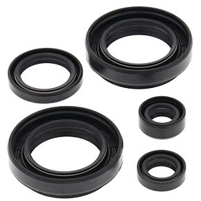 Vertex Pistons Vertex Pistons Vertex Gaskets 03-04 Arctic Cat 400 4x4 w/MT Oil Seal Kit - 822234