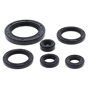 Vertex Pistons Vertex Pistons Vertex Gaskets 03-05 Honda TRX650 Rincon Oil Seal Kit - 822978