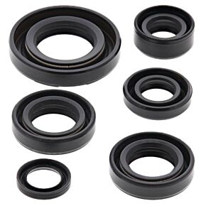 Vertex Pistons Vertex Pistons Vertex Gaskets 03-06 Kawasaki KDX50 Oil Seal Kit - 822224