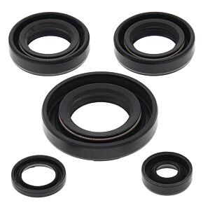 Vertex Pistons Vertex Pistons Vertex Gaskets 03-06 Kawasaki KFX50 Oil Seal Kit - 822230