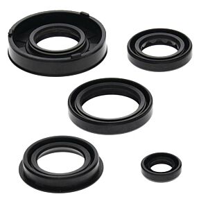 Vertex Pistons Vertex Pistons Vertex Gaskets 04-05 Arctic Cat 50 Y-6 Oil Seal Kit - 822217