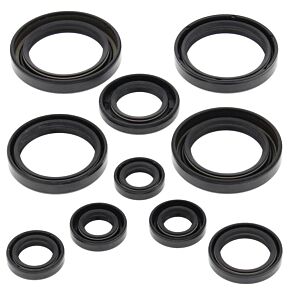 Vertex Pistons Vertex Pistons Vertex Gaskets 04-05 Honda TRX450R Oil Seal Kit - 822237
