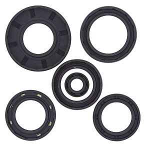 Vertex Pistons Vertex Pistons Vertex Gaskets 04-06 Arctic Cat 650 4x4 w/AT V2 Oil Seal Kit - 822251