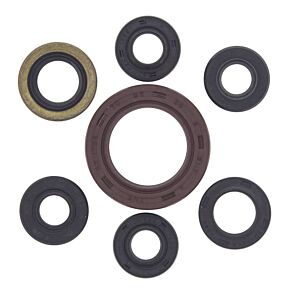 Vertex Pistons Vertex Pistons Vertex Gaskets 04-08 Arctic Cat 400 DVX Oil Seal Kit - 822201