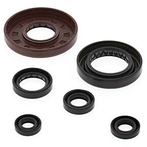 Vertex Pistons Vertex Pistons Vertex Gaskets 05-11 Honda TRX500FE Oil Seal Kit - 822276