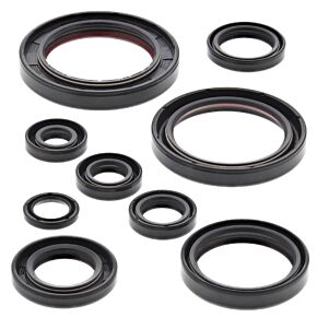 Vertex Pistons Vertex Pistons Vertex Gaskets 05-17 Honda CRF450X Oil Seal Kit - 822315