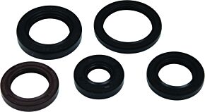 Vertex Pistons Vertex Pistons Vertex Gaskets 05-23 Polaris Phoenix 200 Oil Seal Kit - 822394