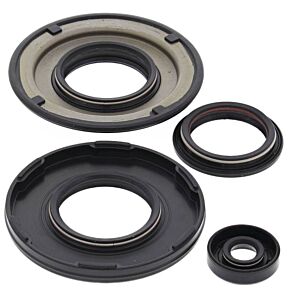 Vertex Pistons Vertex Pistons Vertex Gaskets 06-07 Ski-Doo MX Z 440 Racing LC Oil Seal Kit - 55205