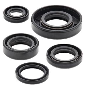 Vertex Pistons Vertex Pistons Vertex Gaskets 06-08 KTM SX 50 Oil Seal Kit - 822222