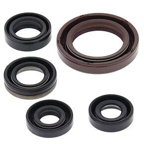 Vertex Pistons Vertex Pistons Vertex Gaskets 06-09 Suzuki LT-R450 Oil Seal Kit - 822327