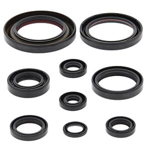 Vertex Pistons Vertex Pistons Vertex Gaskets 06-14 Honda TRX450ER Oil Seal Kit - 822312