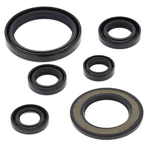 Vertex Pistons Vertex Pistons Vertex Gaskets 06-23 Yamaha YFM700R Raptor Oil Seal Kit - 822338