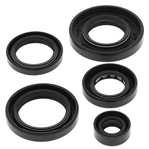 Vertex Pistons Vertex Pistons Vertex Gaskets 07-11 Arctic Cat 650 4x4 H1 Oil Seal Kit - 822343