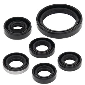 Vertex Pistons Vertex Pistons Vertex Gaskets 08-14 Kawasaki KFX450R Oil Seal Kit - 822334