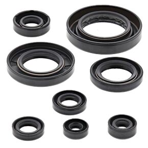 Vertex Pistons Vertex Pistons Vertex Gaskets 09-14 Honda TRX420 FA IRS Oil Seal Kit - 822354
