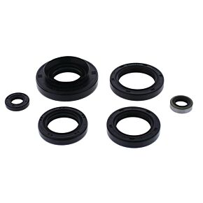 Vertex Pistons Vertex Pistons Vertex Gaskets 12-14 Kawasaki KVF750 Brute Force Oil Seal Kit - 822366