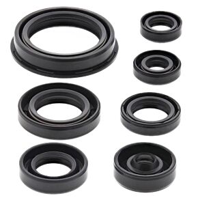 Vertex Pistons Vertex Pistons Vertex Gaskets 15-19 Yamaha WR250F Oil Seal Kit - 822690