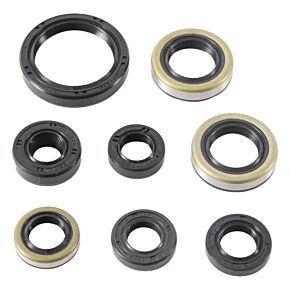 Vertex Pistons Vertex Pistons Vertex Gaskets 16-18 Kawasaki KX450F Oil Seal Kit - 822485