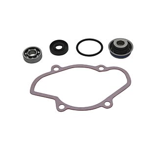 Vertex Pistons Vertex Pistons Vertex Gaskets 16-18 Ski-Doo Expedition 800 2-Stroke ETEC Water Pump Rebuild Kit - 721312