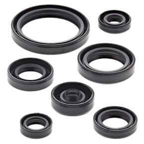 Vertex Pistons Vertex Pistons Vertex Gaskets 16-23 Yamaha WR450F Oil Seal Kit - 822692