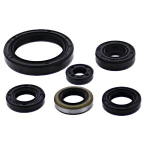 Vertex Pistons Vertex Pistons Vertex Gaskets 19-23 Kawasaki KX450F Oil Seal Kit - 822379