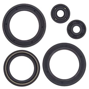 Vertex Pistons Vertex Pistons Vertex Gaskets 1993 Polaris 350L 2x4 Oil Seal Kit - 822142