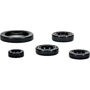 Vertex Pistons Vertex Pistons Vertex Gaskets 20-23 Yamaha WR250F Oil Seal Kit - 822994